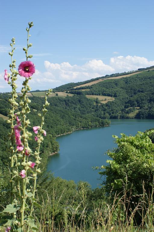 Les Hotes Du Lac, Chambres Et Tables D'Hotes Mandailles  Esterno foto